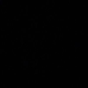 Meet your Posher, Andon